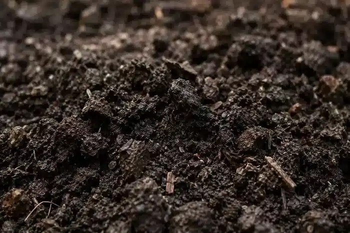 Terre de Garten sombre légèrement humide en gros plan
