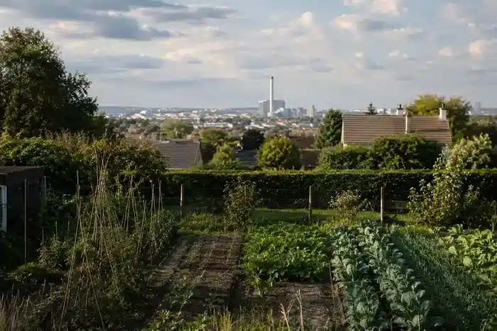 Gemüsegarten nahe einer Müllverbrennungsanlage