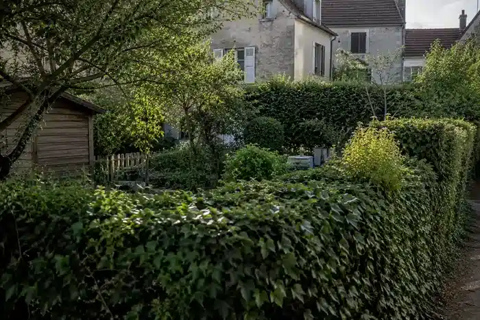 Haie dense rund um d'un Garten urbain calme