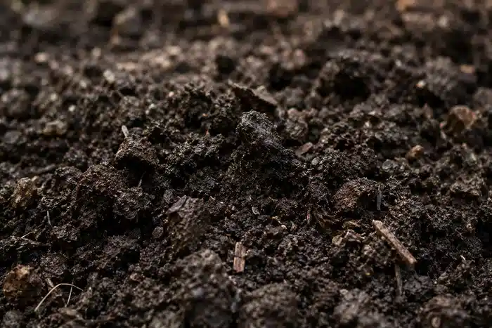 Terre de tuin sombre légèrement humide en gros plan