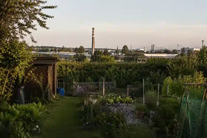 Eieren van kippen op verontreinigde grond: risico’s begrijpen